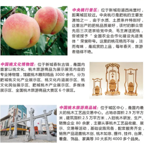 游肥城，赏桃花！肥城精品旅游线路来啦！
