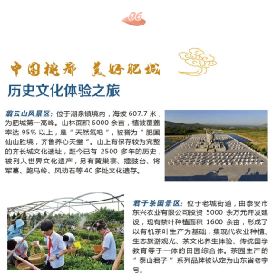 游肥城，赏桃花！肥城精品旅游线路来啦！